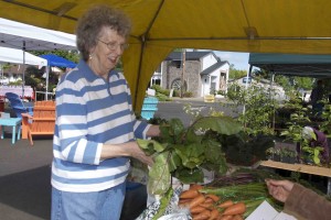 Patti Lindquist, Silverton Farmers Market shopper, knew what she was looking for and found it in a fresh-from-the-grower vegetable stand