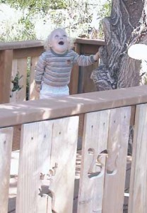 This little visitor seems to enjoy the new tree fort in the children\'s area at the Oregon Garden