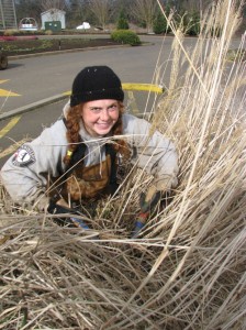 Emily Stieber prunes back a clump of pampas grass at The Oregon Garden. She is part of a 10-member AmeriCorps team that spent a recent five weeks rebuilding trails, spreading compost and more.