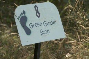 Follow the signs to see birds, amphibians, animals and insects in the wetlands.