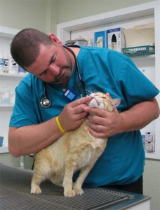 Kyle Palmer has expanded his role at Silver Creek Animal Clinic.  