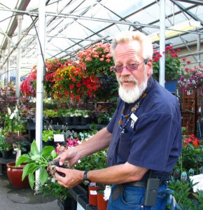Dale Small, Garden Area Specialist at Wilco Farmers Co-op demonstrates dealing with root-bound plants