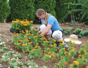 A volunteer helps plant flowers for the 10th Anniversary arrangement at The Oregon Garden.