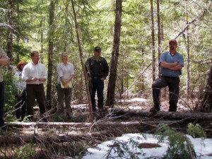 Cindy Glick (Sweet Home Ranger District), left, Fritz Graham (field representative for U.S. Sen. Ron Wyden), Heidi Sandoval (M&M Fire Fuels) and logger Tom Fenso  listen as Mike Chastain of M&M Fire Fuels makes a point during a tour of the Willamette National Forest.      