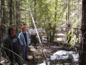 Representatives from the U.S. Forest Service and private industry examined the overcrowding problem firsthand to continue a forum on re-thinking how public forest lands are maintained.       