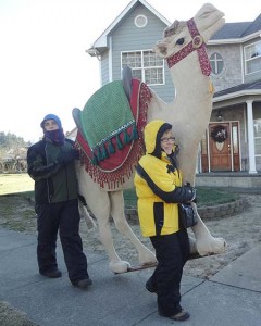 Marilyn Hall and her son Martin relocate the Nativity to its next location in Mt. Angel. Photo by Jo Garcia-Cobb.