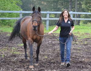 Jill Rivoli uses horses to teach people how to overcome obstacles in their lives. 