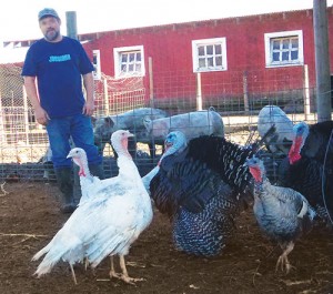 Carl Buchholz raises several turkey varieties.
