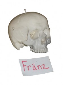Fränz is part of a real skeleton used for studying science. 