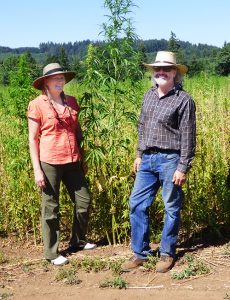 Hemp farmers Rochelle and Peter Koch are about to harvest their first crop. 