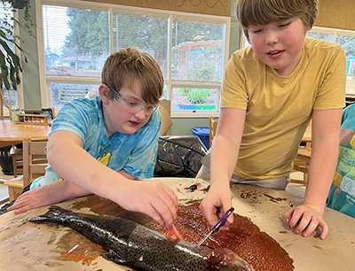 Community Roots students dissect a salmon -- courtesy of Alyssa Burge