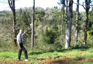Roy Basl gestures toward the first phase of an aggregate mine proposed by the Phillips family. The site, framed loosely by the two inner trees, is directly across the canyon from the Amundi home, which is in its final stages of construction.    