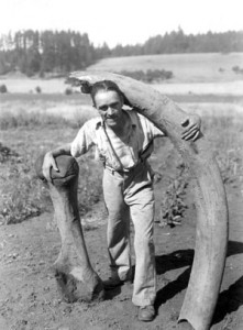 This 1940 photo of Evans Valley farmer Paul Pinson and the mammoth tusk he uncovered is one of the treasures in Gus Frederick\'s book. 