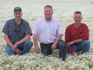 Left to right: Don Doerfler, Rob Duerst and Doug Duerst in a field of meadowfoam at Ioka Farms.