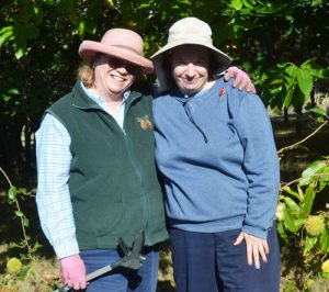 Paul'la Allen and her daughter, Julie enjoy working on their chestnut farm