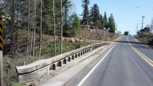 Logs can be seen from the trees that were felled for utility line relocation on the Silverton Road bridge over the Little Pudding River. The bridge is being replaced and there will be detours around the work for approximately seven months starting about May 1. James Day