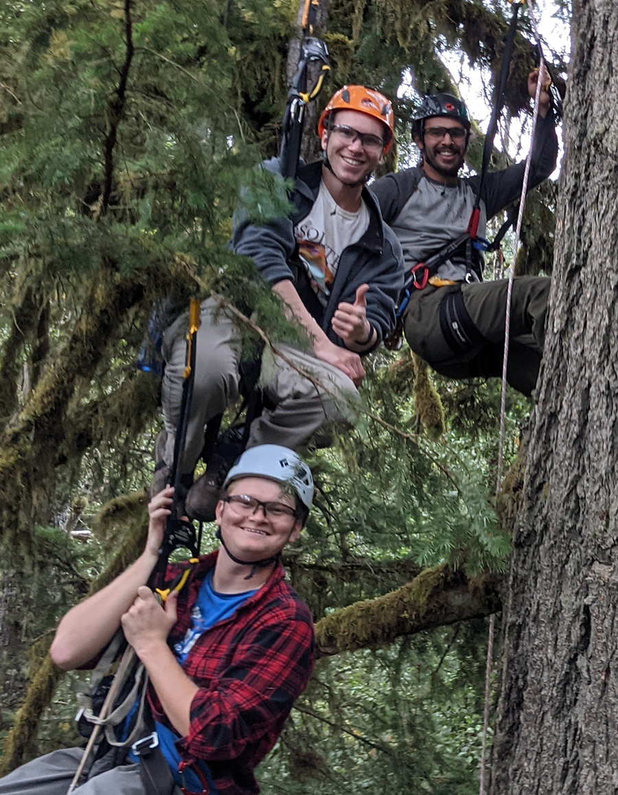 Tree Climbing at Silver Falls offers a unique experience.   