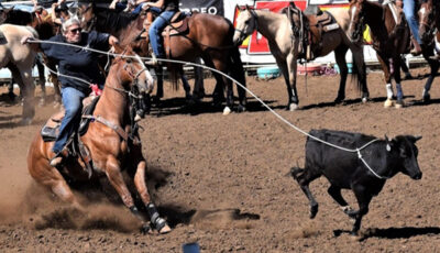 Silver Falls School District math teacher Stacy Barker participates in a breakaway roping competition at a rodeo. Submitted Photo