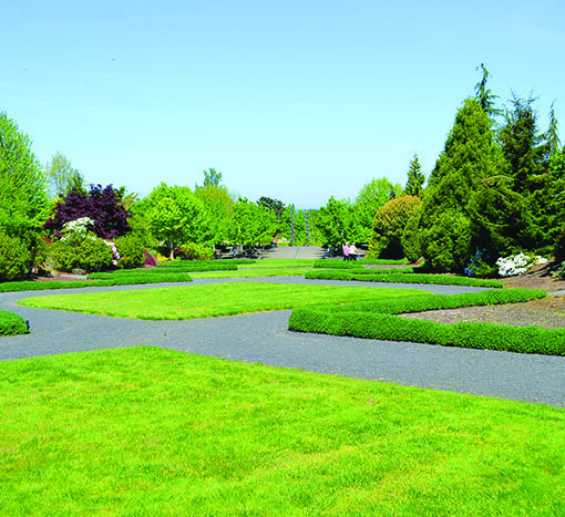 The Axis Garden at The Oregon Garden in Silverton. Kristine Thomas